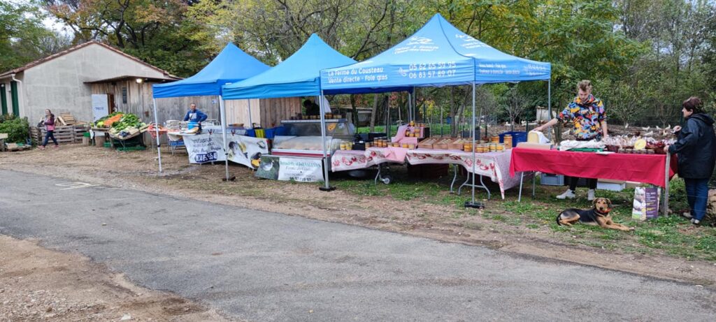 250854475 366525891929915 3385988273923097537 n.jpg