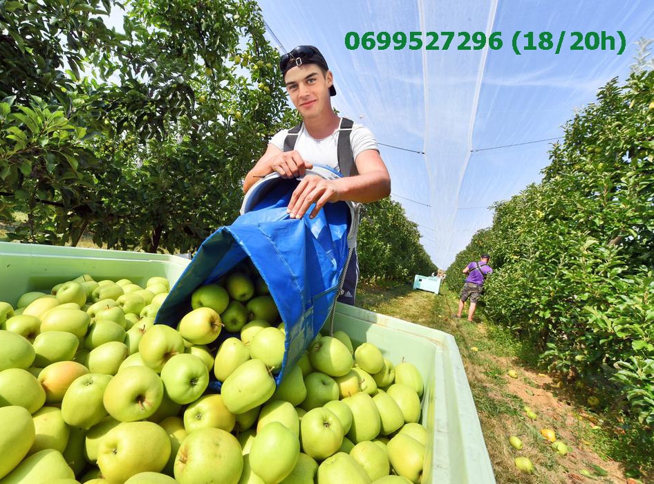 1 saisonnier 06 1.jpg