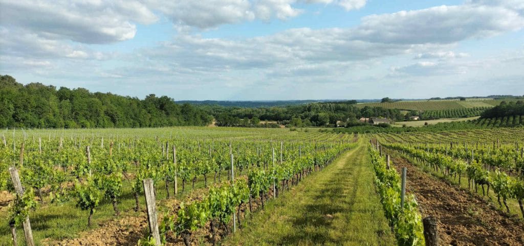 psx 20231120 090633 1.jpg