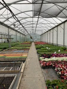 produits du jardin sous serre