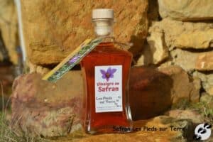 dsc 1056 copie copie gf.jpg