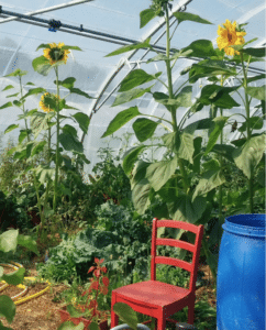 capture decran 2024 07 02 a 18.01.35.png