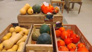 463741671 846293327716260 4916629732188600097 n.jpg