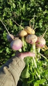 469397703 880178524327740 2630249863845777953 n.jpg