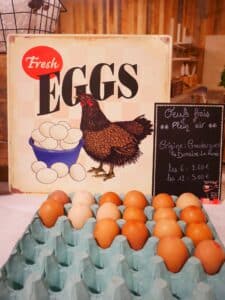 469547657 880178674327725 598907611882375110 n.jpg