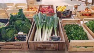 484240073 949011007444491 6755657961488937244 n.jpg