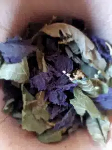 20251001 141322.webp