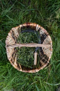 les plantes paysannes sep 25 hd 1081.jpg